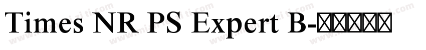 Times NR PS Expert B字体转换